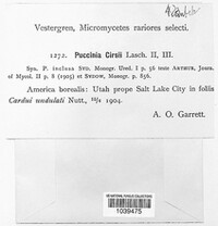 Image Associated With the Occurence